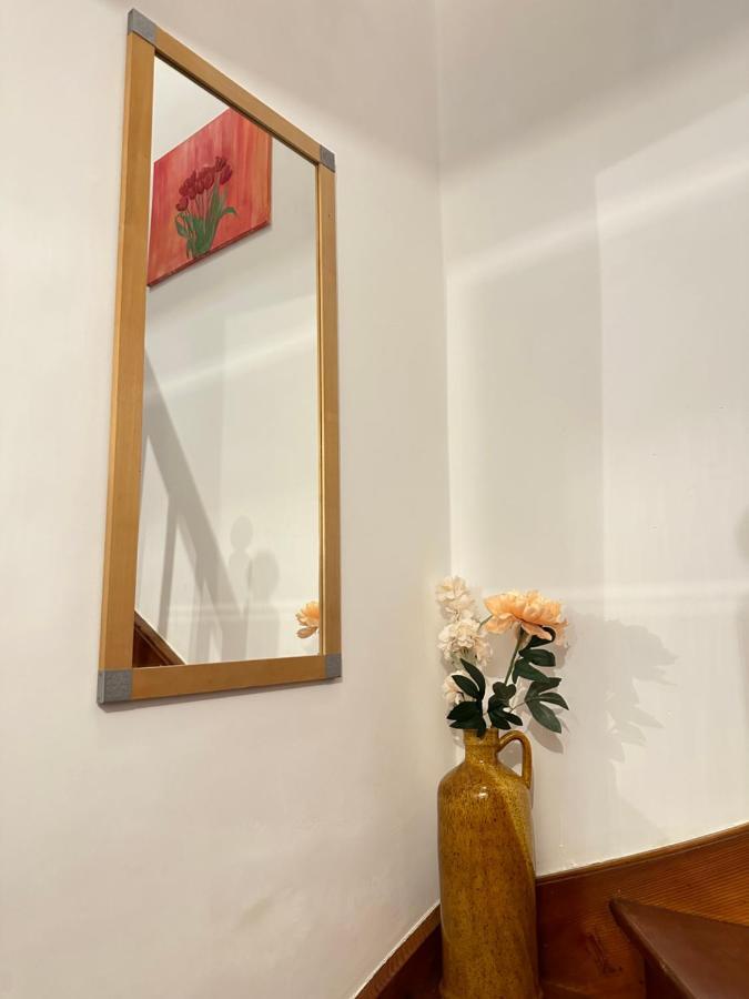 Green Paradise & Cozy Retreat Salzburg With Free Parking Zewnętrze zdjęcie