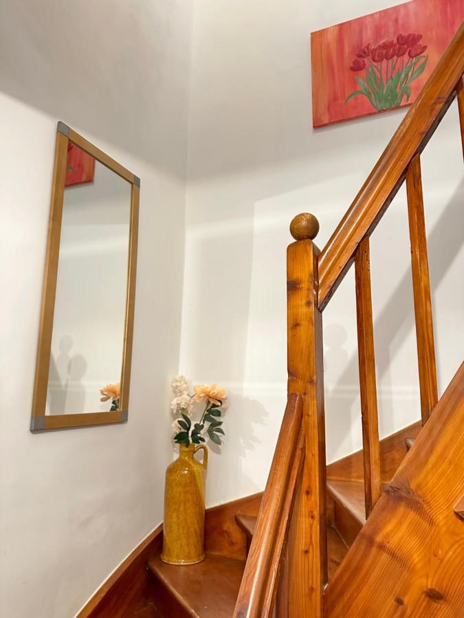 Green Paradise & Cozy Retreat Salzburg With Free Parking Zewnętrze zdjęcie
