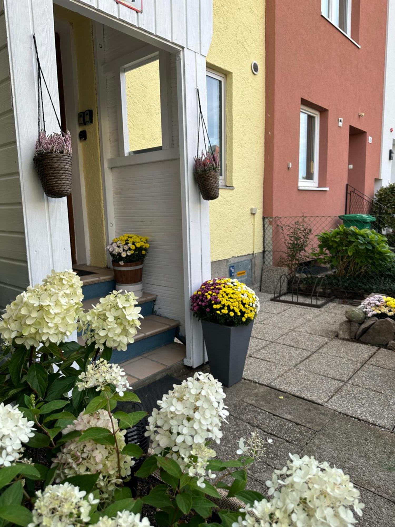 Green Paradise & Cozy Retreat Salzburg With Free Parking Zewnętrze zdjęcie